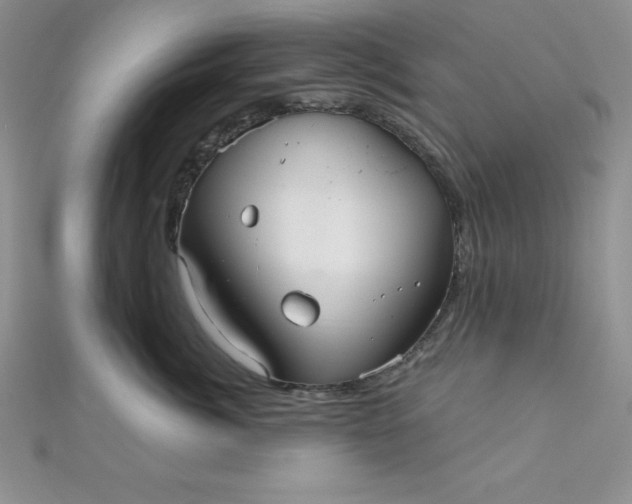 X0000111000764200907022137