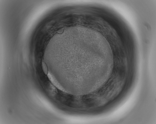 X0000111000766200907022137