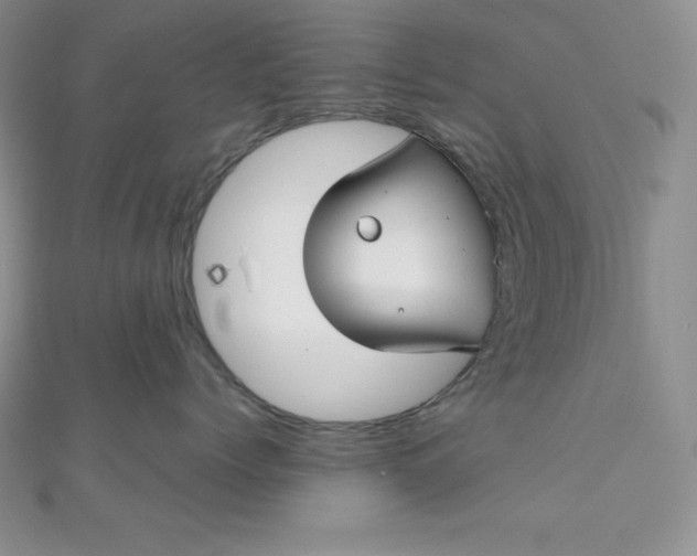 X0000111000768200907022137