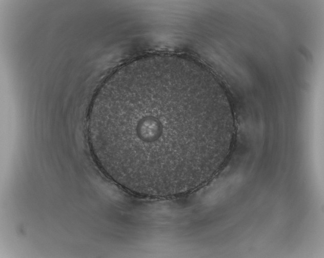 X0000111000769200907022136