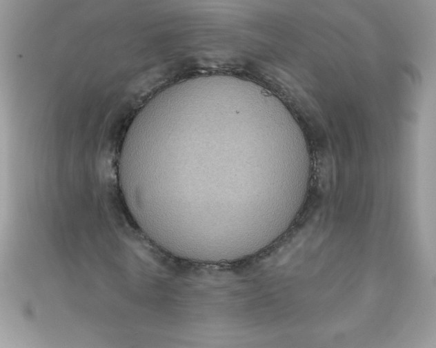 X0000111000770200907022136