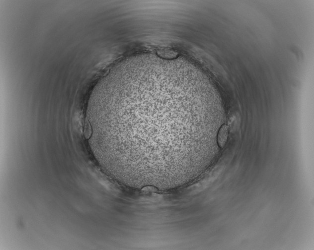 X0000111000772200907022136