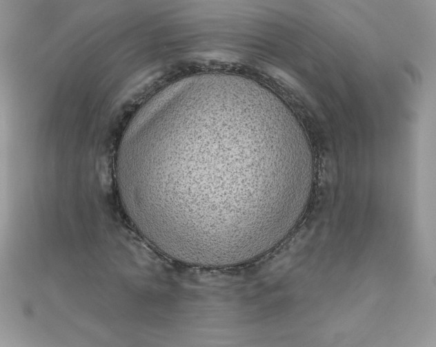 X0000111000774200907022136