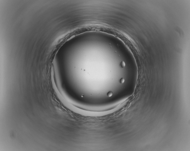 X0000111000775200907022136