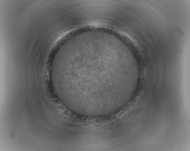 X0000111000776200907022136