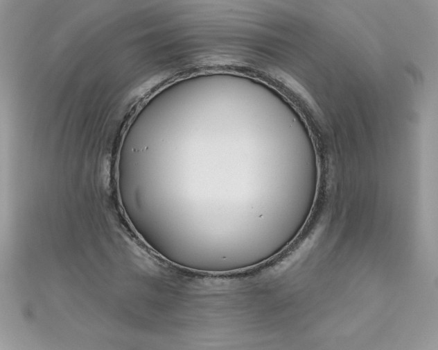 X0000111000777200907022136