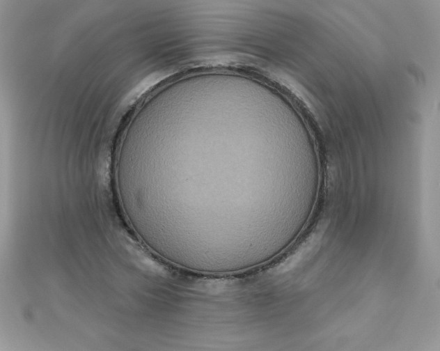 X0000111000778200907022136