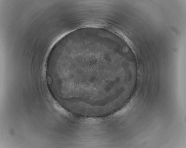 X0000111000779200907022136