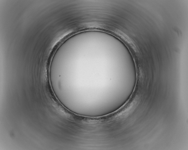 X0000111000782200907022136