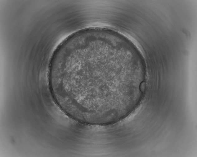 X0000111000783200907022136