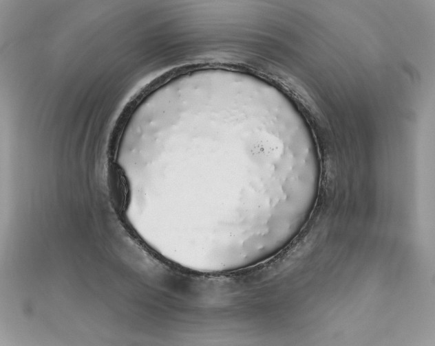 X0000111000784200907022136