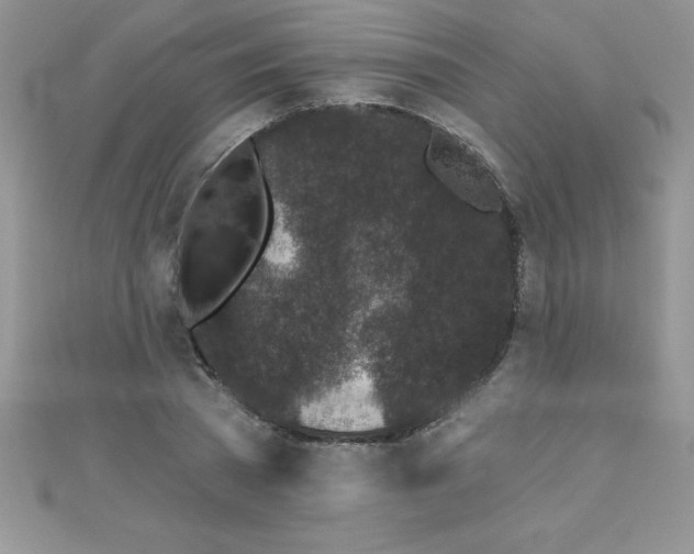 X0000111000785200907022136