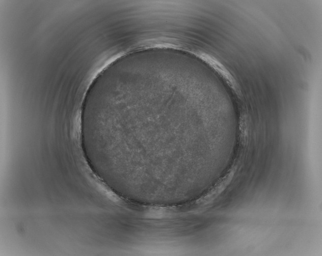 X0000111000790200907022136