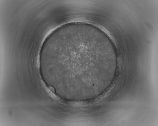 X0000111000791200907022136