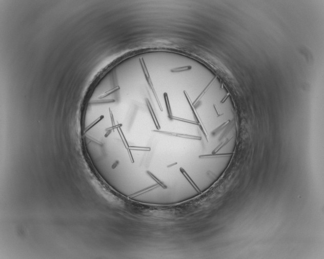 X0000111000792200907022136