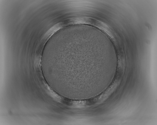 X0000111000793200907022136