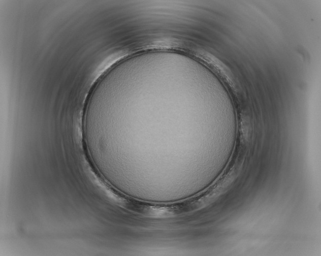 X0000111000794200907022136