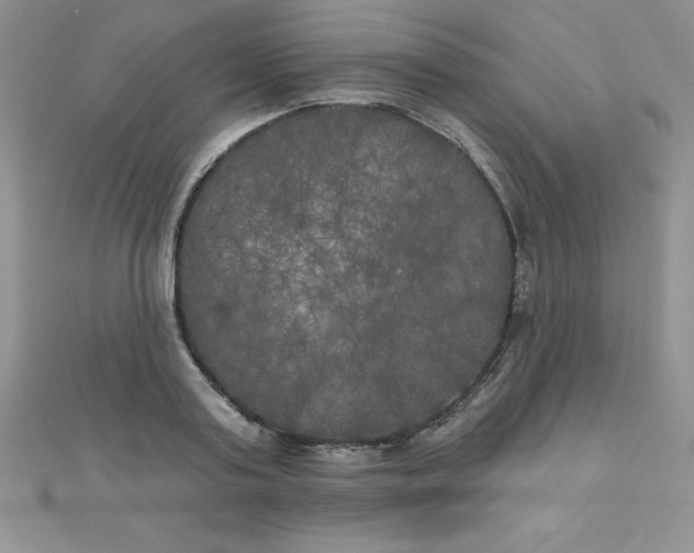 X0000111000795200907022136