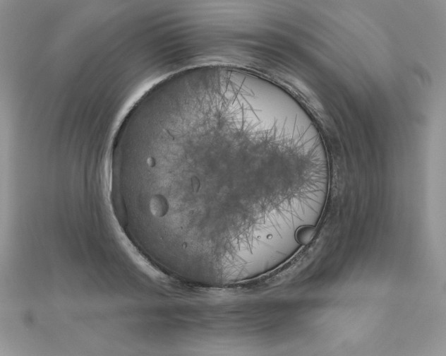 X0000111000796200907022135