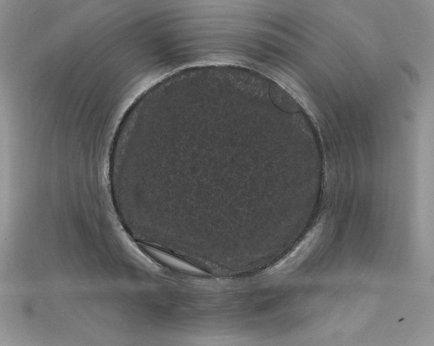 X0000111000797200907022135