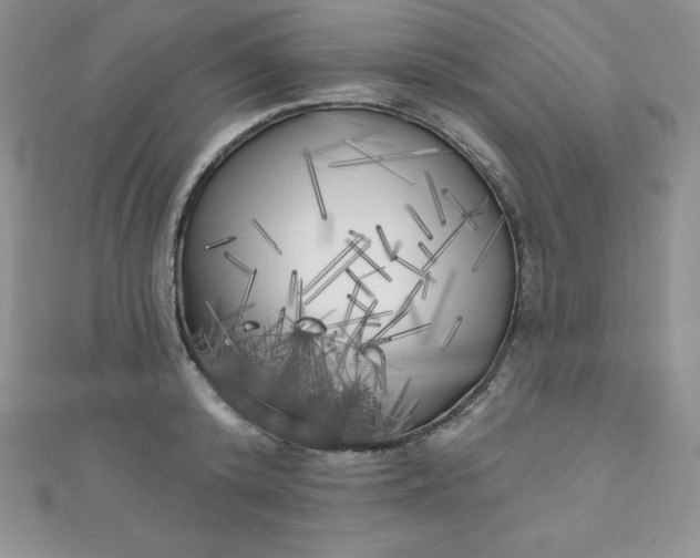 X0000111000800200907022135