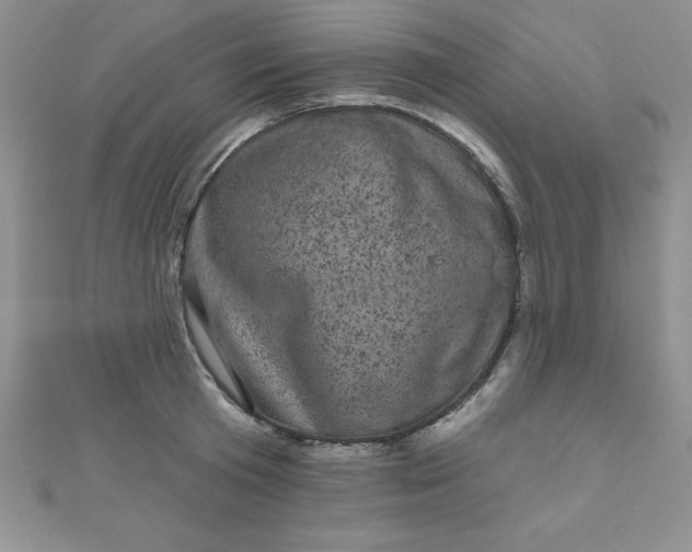 X0000111000801200907022135