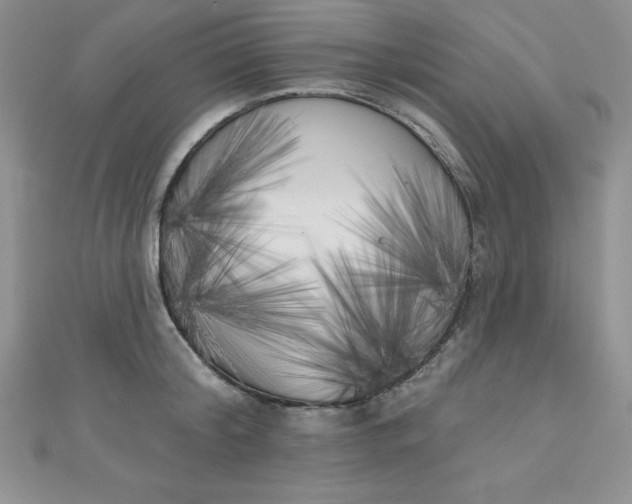 X0000111000804200907022135