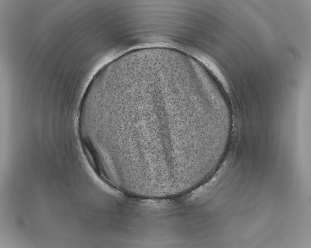 X0000111000805200907022135