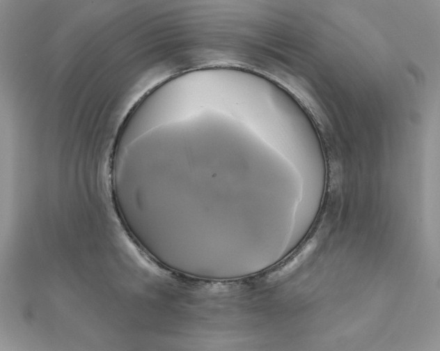 X0000111000806200907022135