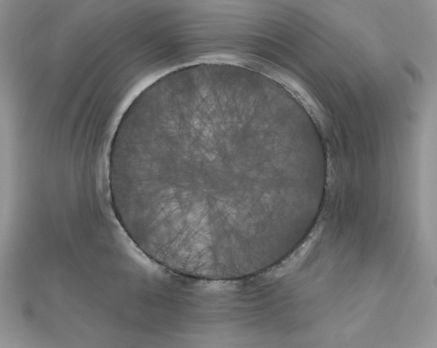 X0000111000808200907022135