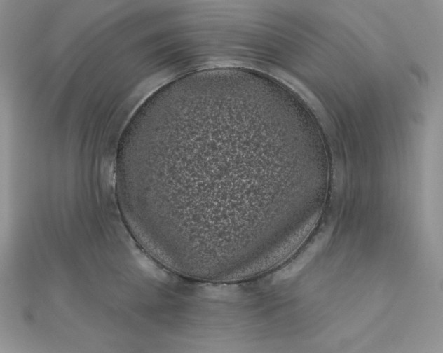 X0000111000809200907022135