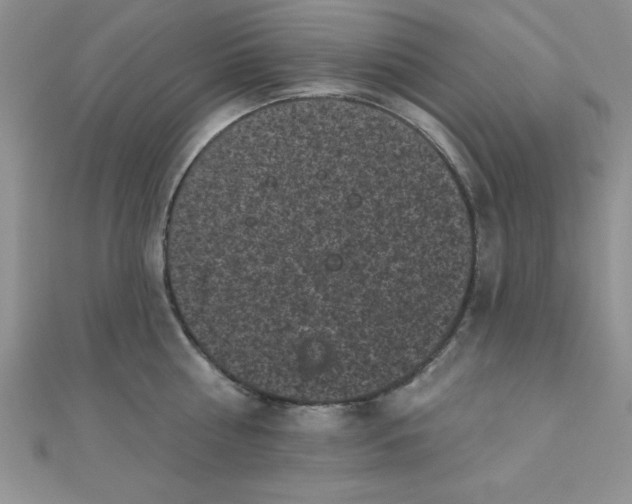 X0000111000810200907022135