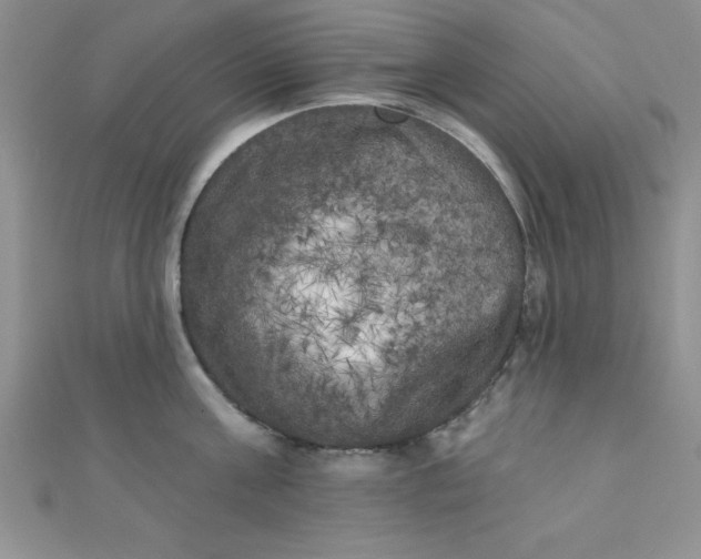 X0000111000811200907022135