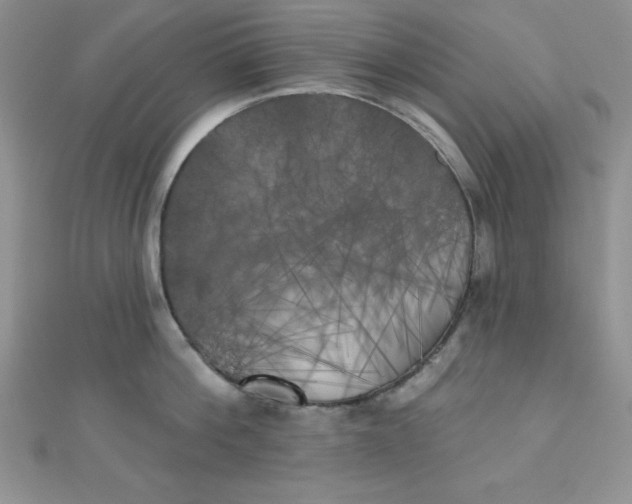 X0000111000812200907022135