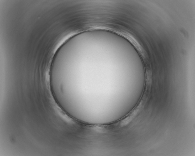 X0000111000814200907022135