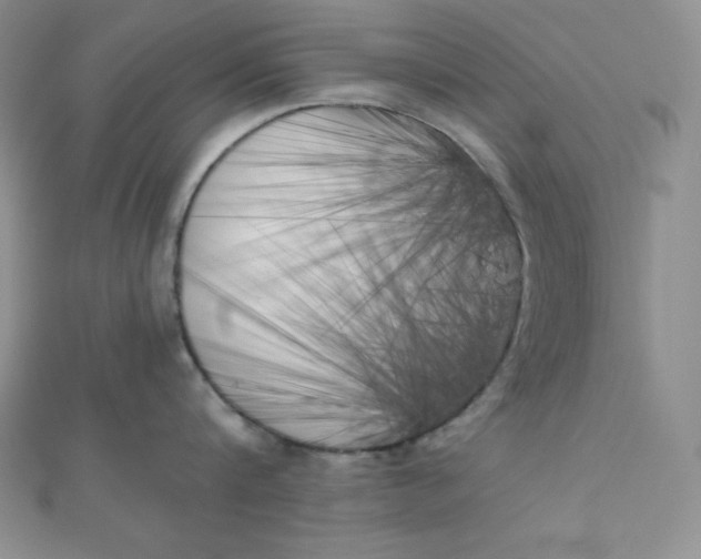 X0000111000816200907022135