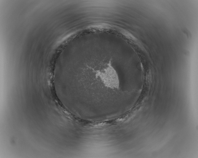 X0000111000822200907022135