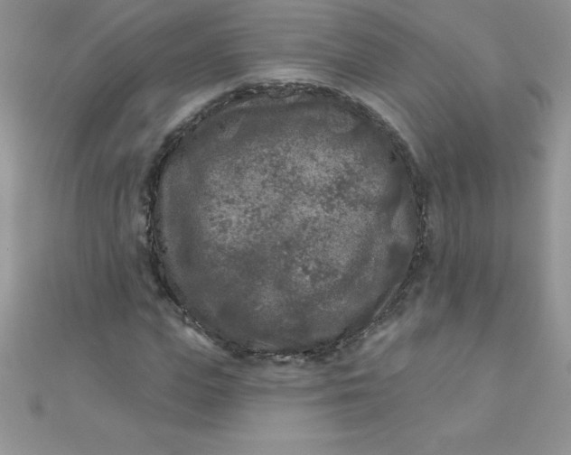 X0000111000823200907022135