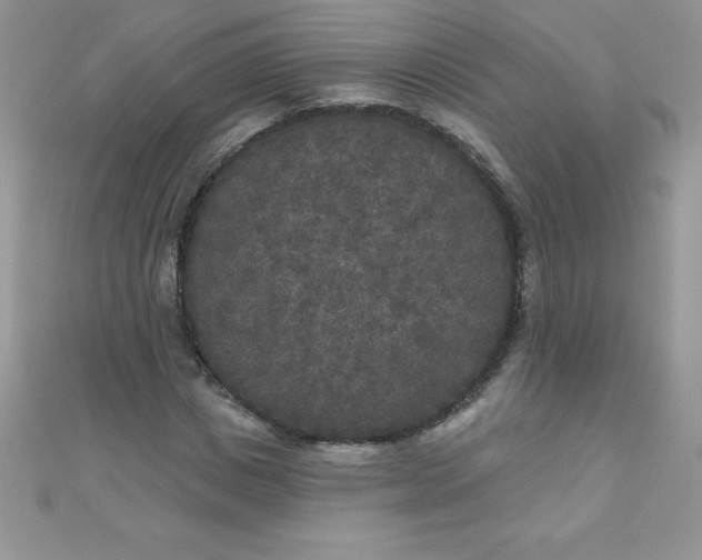 X0000111000825200907022135