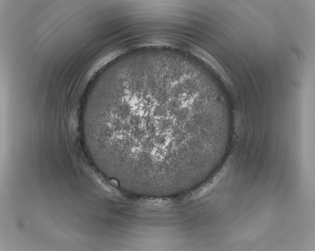 X0000111000826200907022135