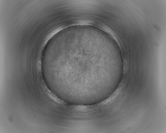 X0000111000827200907022135