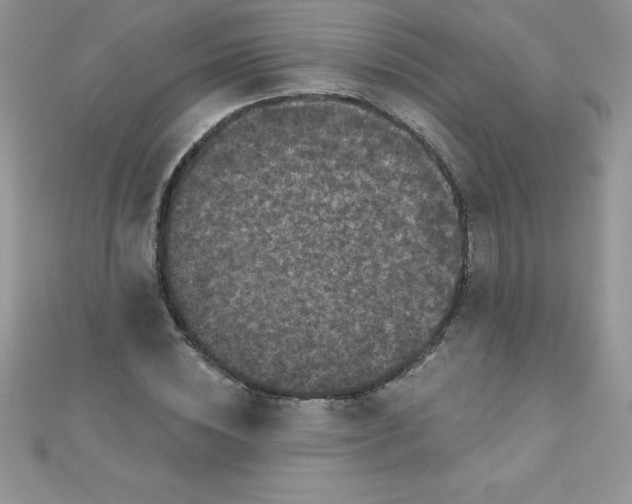 X0000111000828200907022135