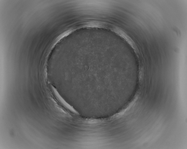 X0000111000829200907022135