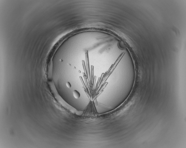 X0000111000830200907022135