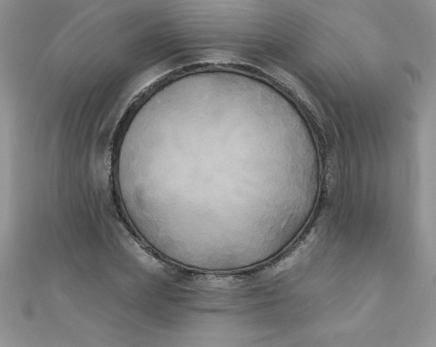 X0000111000831200907022135