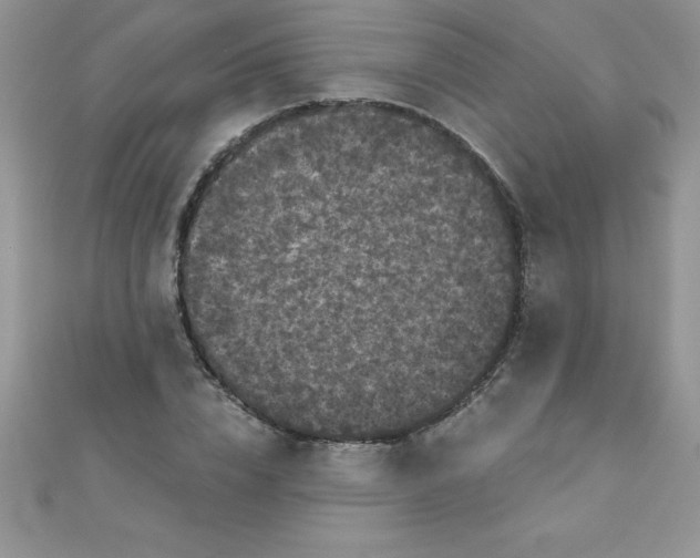 X0000111000832200907022135