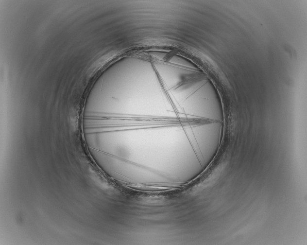 X0000111000833200907022135