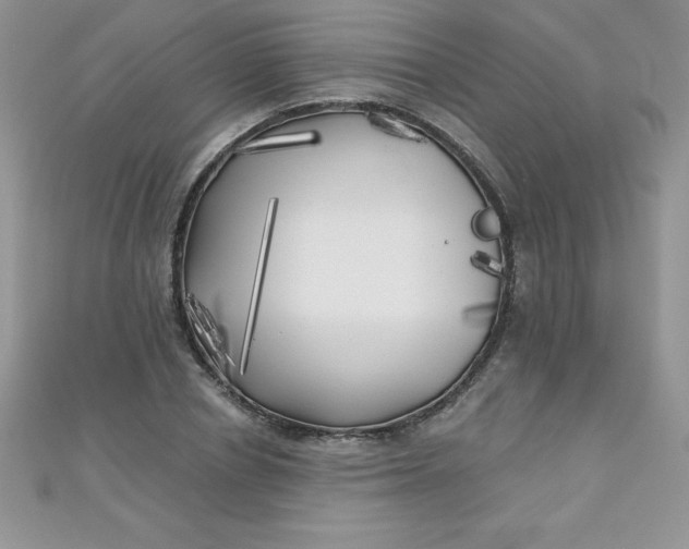 X0000111000834200907022135