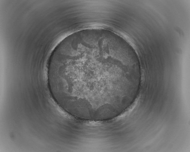 X0000111000835200907022135