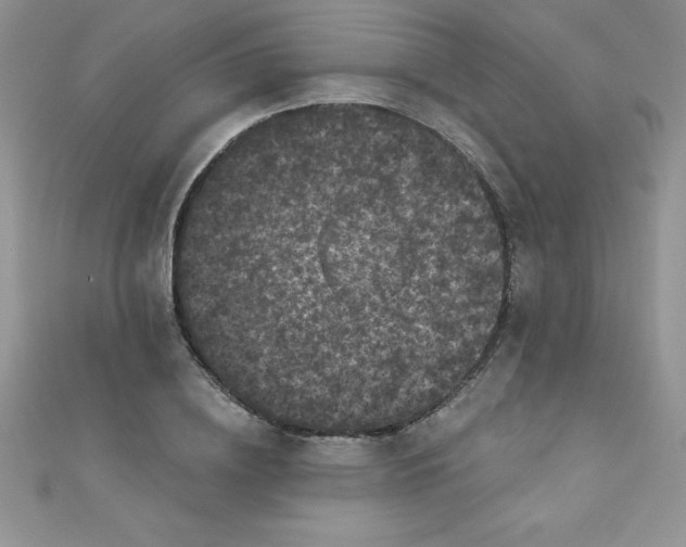 X0000111000836200907022135